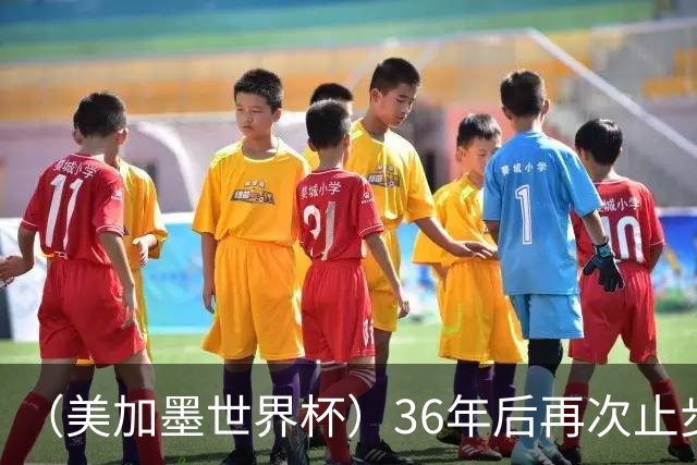 （美加墨世界杯）36年后再次止步16强 巴西距“六星之梦”仍遥远